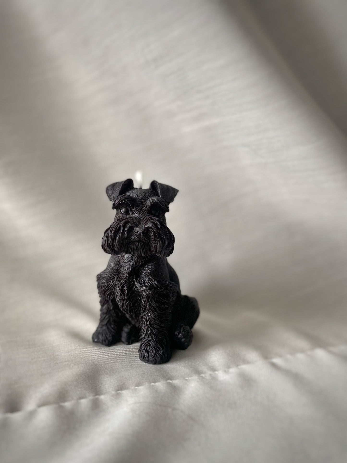 Schnauzer