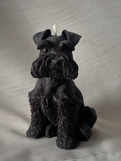 Schnauzer